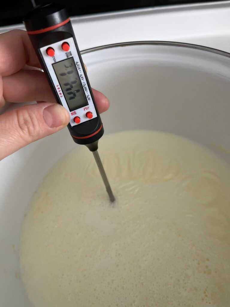 WhatsApp Image 2026 02 03 at 22.29.09